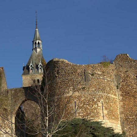 Gite "La Mesangerie" Vila Château-Renard Exterior foto