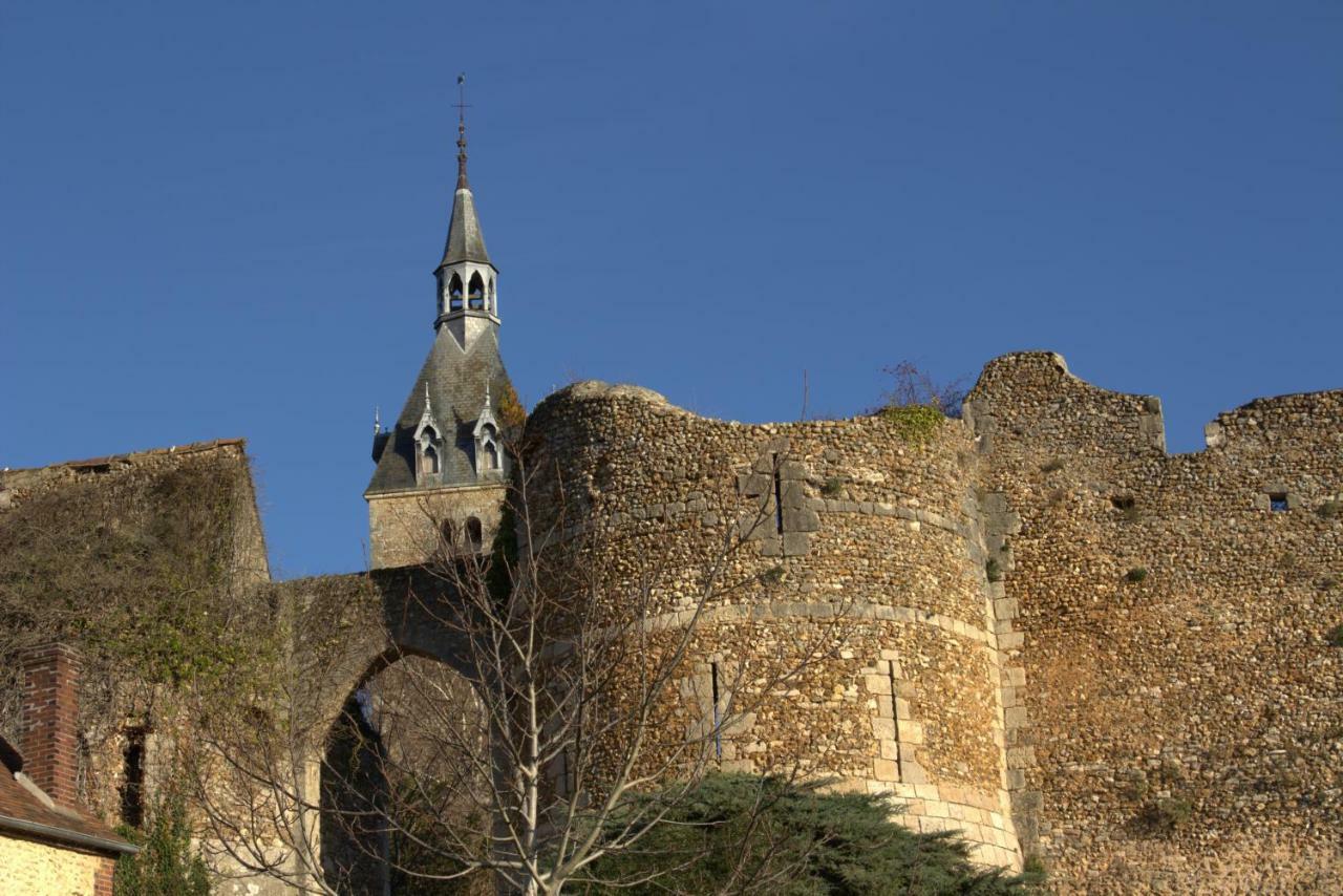 Gite "La Mesangerie" Vila Château-Renard Exterior foto