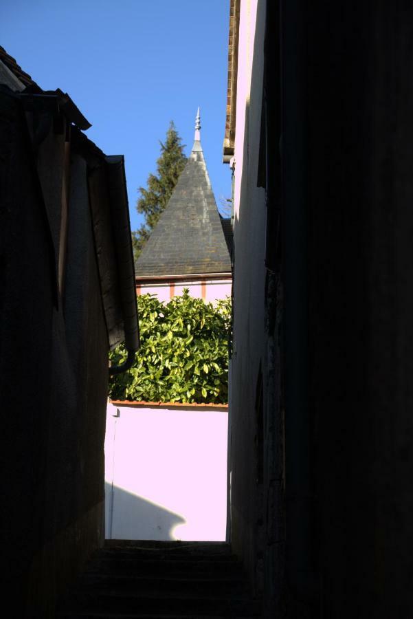 Gite "La Mesangerie" Vila Château-Renard Exterior foto